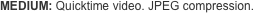MEDIUM: Quicktime video. JPEG compression.